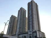 社会人としてスキルを磨き、辞表を提出